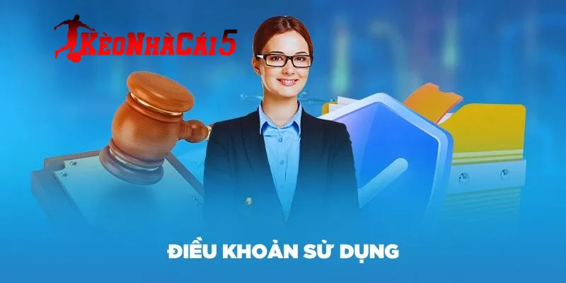 Ý nghĩa và vai trò trong các điều khoản sử dụng